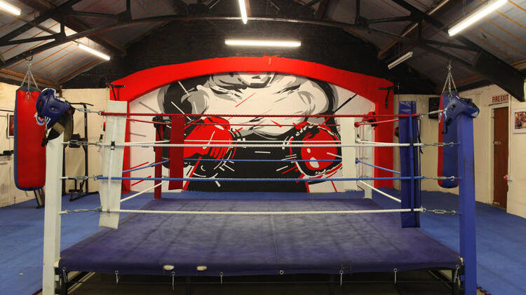 Art for Revival Boxing by Kong Studio