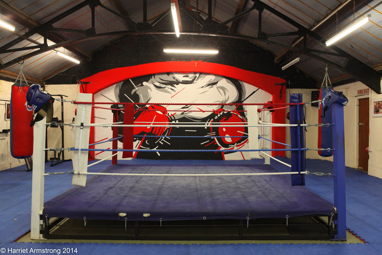 Art for Revival Boxing by Kong Studio