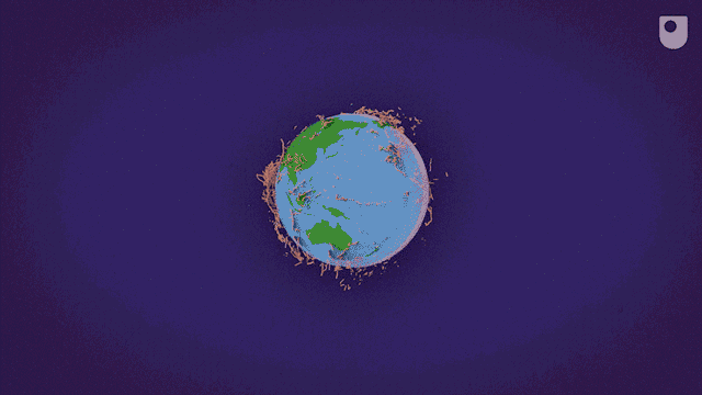 The Fascinating World of Fungi for BBC Ideas and Open University by Kong Animation Studio