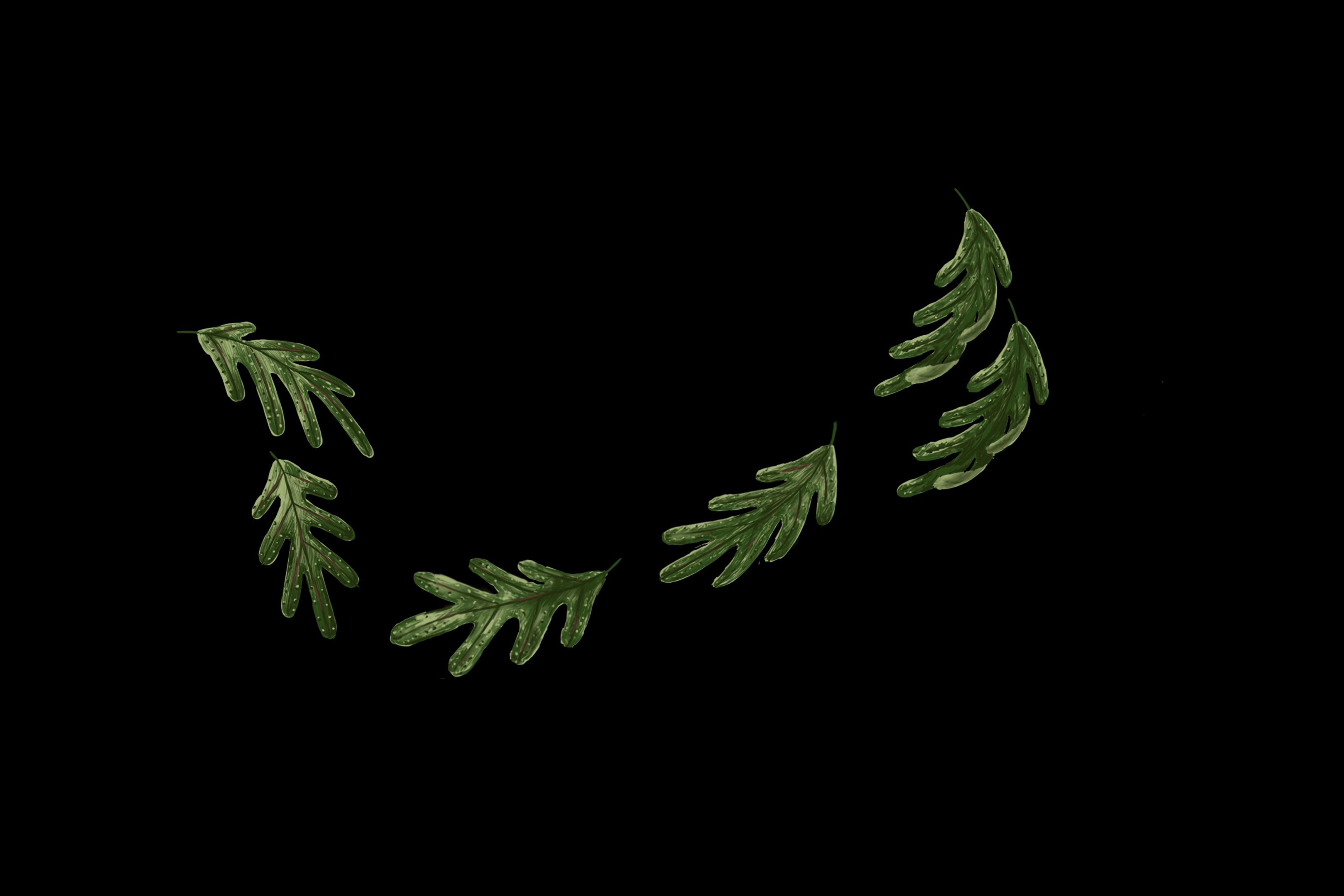 Leaf Animation by friend of Kong Elroy Simmons for 'The Colour of the Climate Crisis'